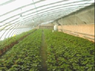 珍珠岩用于保温隔热